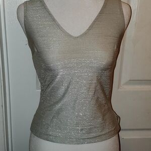 Silver Sleeveless V-Neck Top